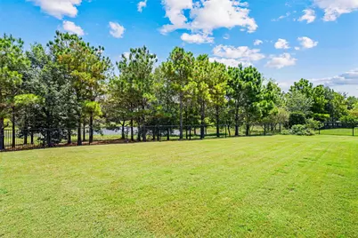 103 Lake View Loop, Fulshear, TX 77441 - Photo 3