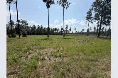 1000 Private Road 6026, Brookeland, TX 75931 - Photo 5