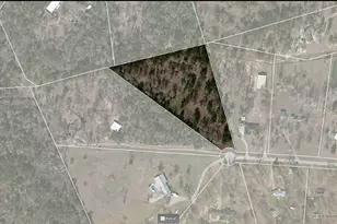 25865 Hickory Knoll Ct, Cleveland, TX 77328 - Photo 29