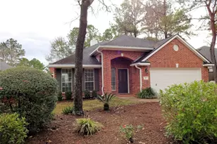 14 Paddock Pines Pl, The Woodlands, TX 77382 - Photo 1