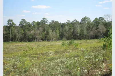 000 20 Fm256 N, Woodville, TX 75979 - Photo 5