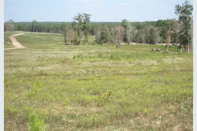 000 20 Fm256 N, Woodville, TX 75979 - Photo 1