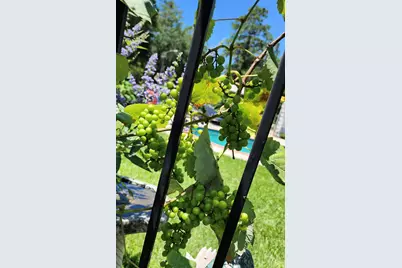 13502 Cypress Lane, Cypress, TX 77429 - Photo 41