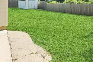 27202 Decker Prairie-Rosehill Rd, Magnolia, TX 77355 - Photo 25
