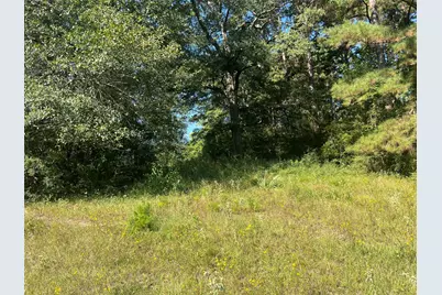 000 Hardy Bottom Road, Huntsville, TX 77340 - Photo 7