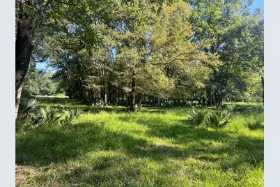 000 Hardy Bottom Road, Huntsville, TX 77340 - Photo 3
