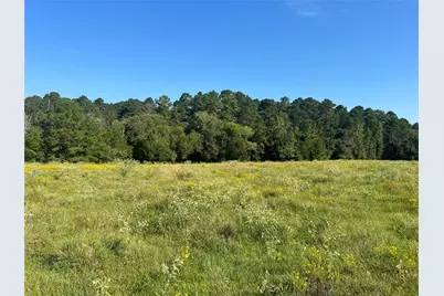 000 Hardy Bottom Road, Huntsville, TX 77340 - Photo 9