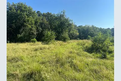 000 Hardy Bottom Road, Huntsville, TX 77340 - Photo 5