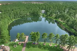 26210 BlueJack National Blvd, Montgomery, TX 77316 - Photo 39