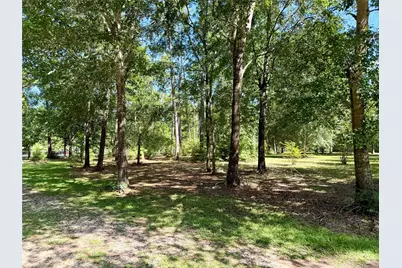 30661 Walnut Ridge Drive, Waller, TX 77484 - Photo 3