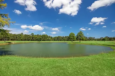 2064 Stallion Lakes Avenue, Hockley, TX 77447 - Photo 9