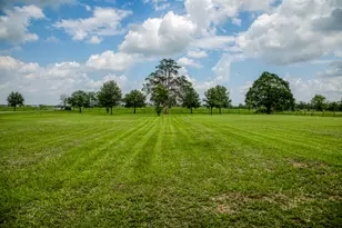 528 E US Hwy 290 Hwy, Carmine, TX 78932 - Photo 3