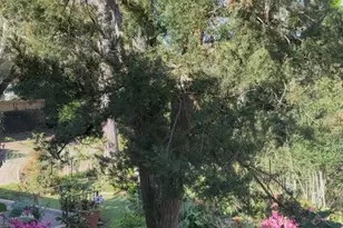 1804 Stoney Brook Dr, Houston, TX 77063 - Photo 19