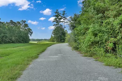 52 Ashe Juniper, Magnolia, TX 77354 - Photo 39