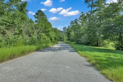 52 Ashe Juniper, Magnolia, TX 77354 - Photo 41