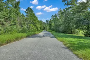 52 Ashe Juniper, Magnolia, TX 77354 - Photo 41