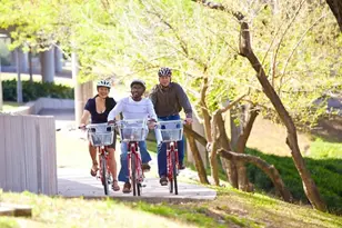 741 Bringhurst St, Houston, TX 77020 - Photo 13