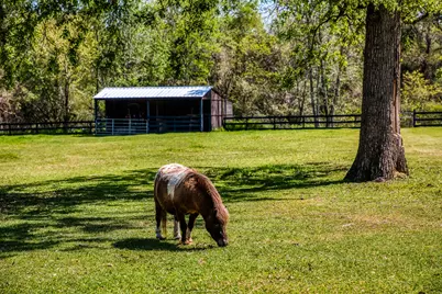 714 Superior Road, Magnolia, TX 77354 - Photo 39