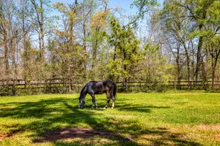 714 Superior Rd, Magnolia, TX 77354 - Photo 35