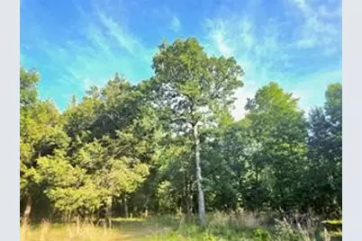 0 Timber Ridge, LaRue, TX 75770 - Photo 17