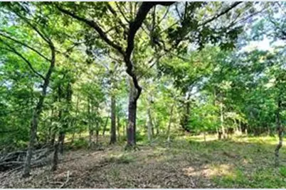 0 Timber Ridge, LaRue, TX 75770 - Photo 13