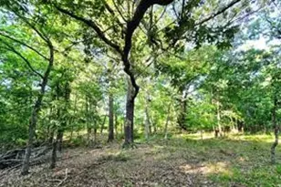 0 Timber Ridge, LaRue, TX 75770 - Photo 13