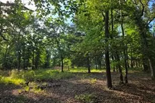 0 Timber Ridge, LaRue, TX 75770 - Photo 9