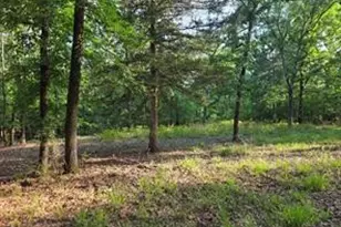 0 Timber Ridge, LaRue, TX 75770 - Photo 11