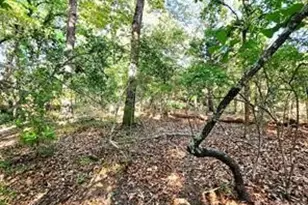 0 Timber Ridge, LaRue, TX 75770 - Photo 7