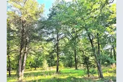 0 Timber Ridge, LaRue, TX 75770 - Photo 15