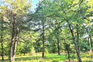 0 Timber Ridge, LaRue, TX 75770 - Photo 15
