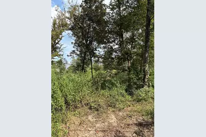 Tbd Walnut Ridge Road, Livingston, TX 77351 - Photo 1