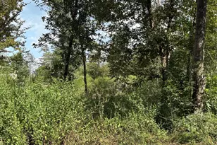 Tbd Walnut Ridge Rd, Livingston, TX 77351 - Photo 1