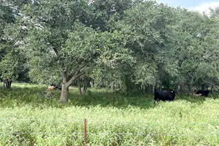 00 County Road 396, El Campo, TX 77437 - Photo 21