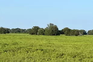 00 County Road 396, El Campo, TX 77437 - Photo 5