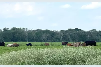 00 County Road 396, El Campo, TX 77437 - Photo 25