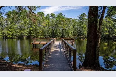 9644 Mount Brewer Lane, Porter, TX 77365 - Photo 29