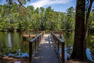 9644 Mount Brewer Ln, Porter, TX 77365 - Photo 29