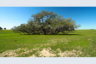 1797 County Road 261, Moulton, TX 77975 - Photo 5