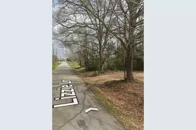 910 Lizzie Lane, Tomball, TX 77375 - Photo 3