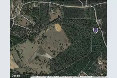 Tbd Capps Road, Livingston, TX 77351 - Photo 1