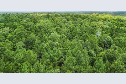 Tbd Capps Road, Livingston, TX 77351 - Photo 7
