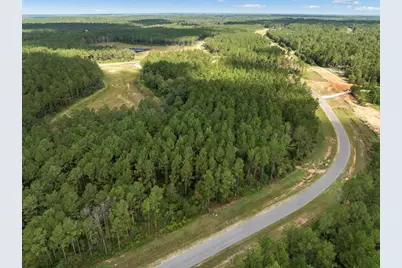 15427 Forest Grove Drive, Willis, TX 77378 - Photo 13