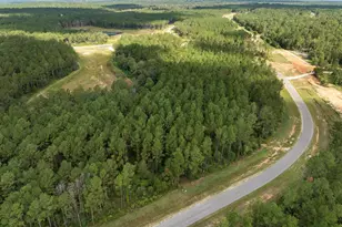 15427 Frst Grv Dr, Willis, TX 77378 - Photo 13