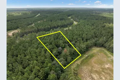 15427 Forest Grove Drive, Willis, TX 77378 - Photo 15