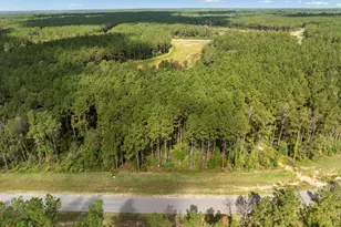 15427 Frst Grv Dr, Willis, TX 77378 - Photo 11