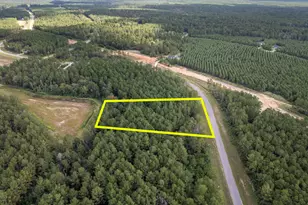 15427 Frst Grv Dr, Willis, TX 77378 - Photo 29