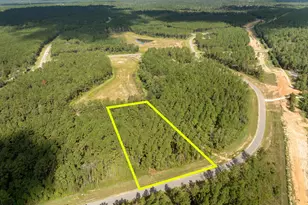 15427 Frst Grv Dr, Willis, TX 77378 - Photo 19