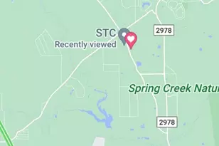 28018 Dobbin-Huffsmith Rd, Magnolia, TX 77354 - Photo 7