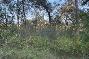 119 County Rd 4533, Dayton, TX 77535 - Photo 7